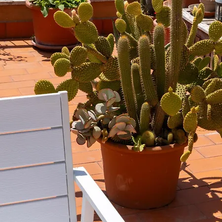 Apartment Le Terrazze Di Minerva *